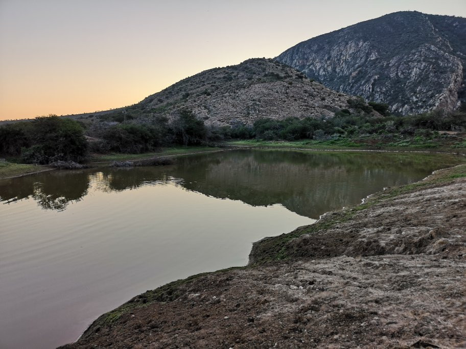 Dorschfontein Guest Farm主图