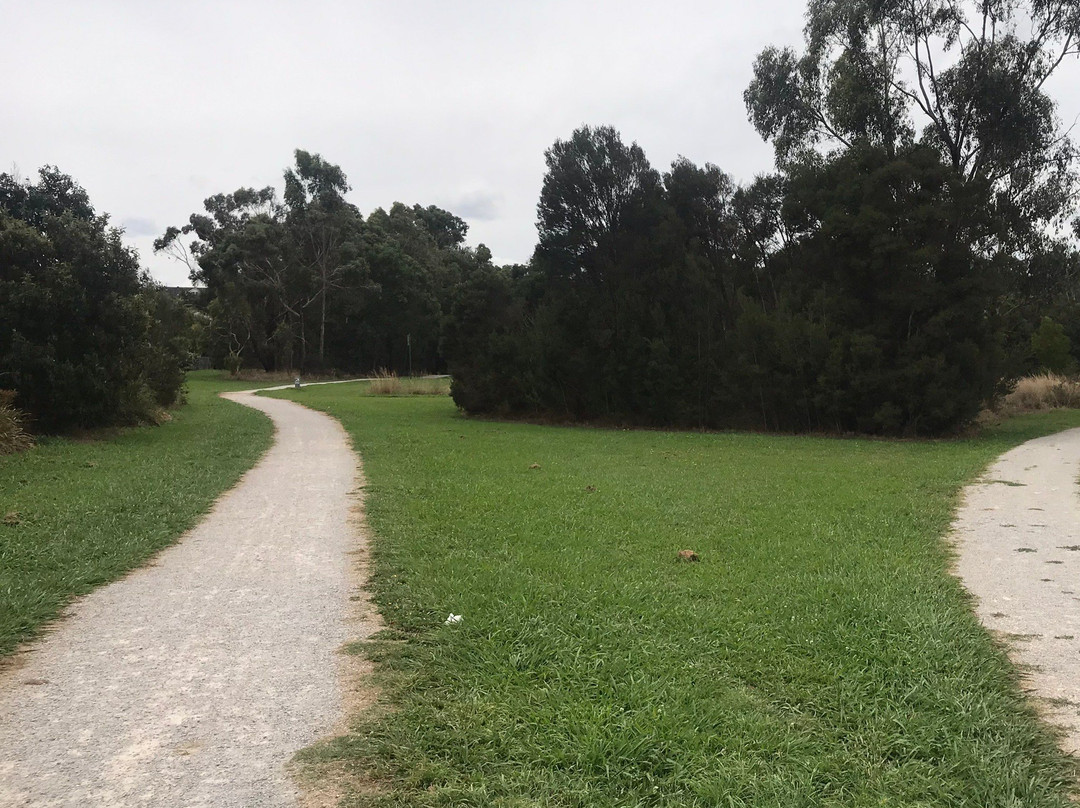 Hull Road Wetlands-Lilydale必去景点