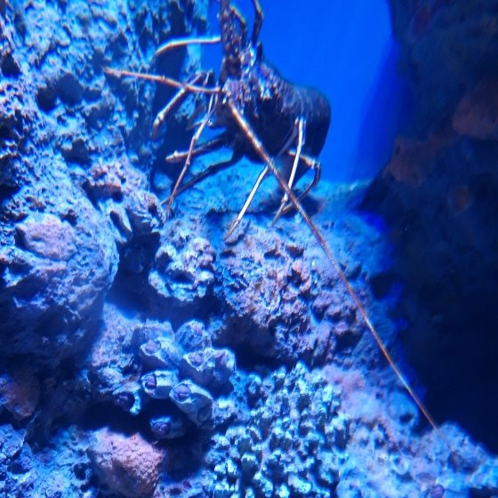 Golden Hall Mall-Chalandri必去景点