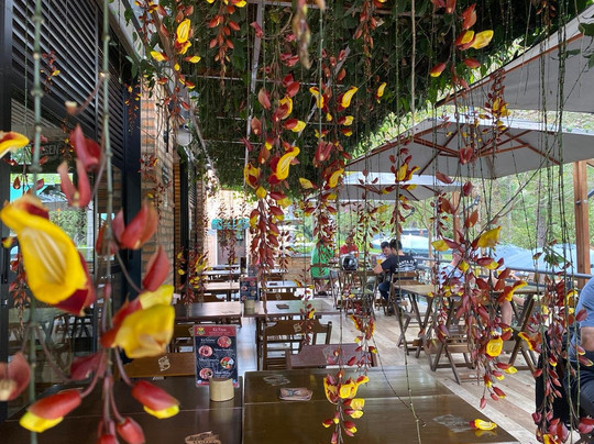 Cervejaria Rofer-伊图佩瓦必去景点