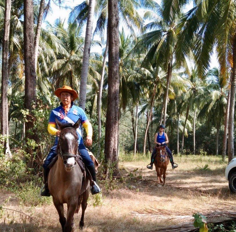 Khaolak Horse Club-拉克山必去景点