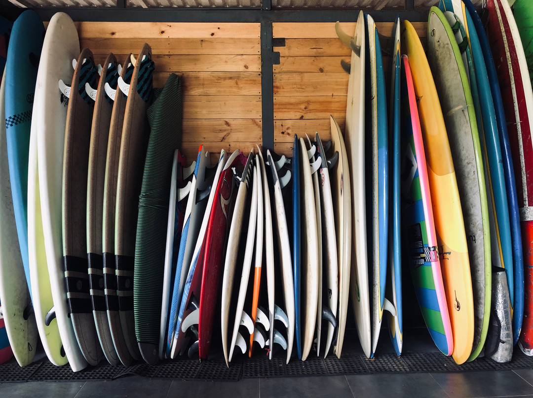 TurfSafari-塔马林多必去景点