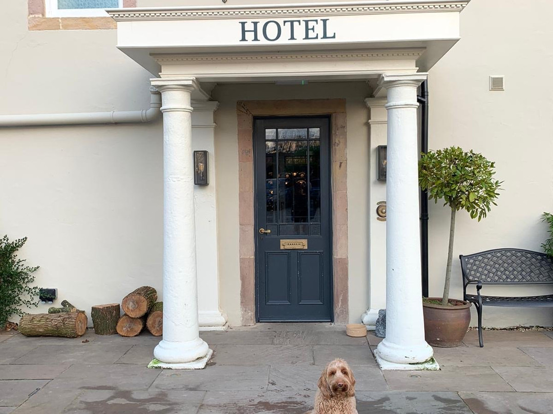 Beadnell Towers & Kitchen主图