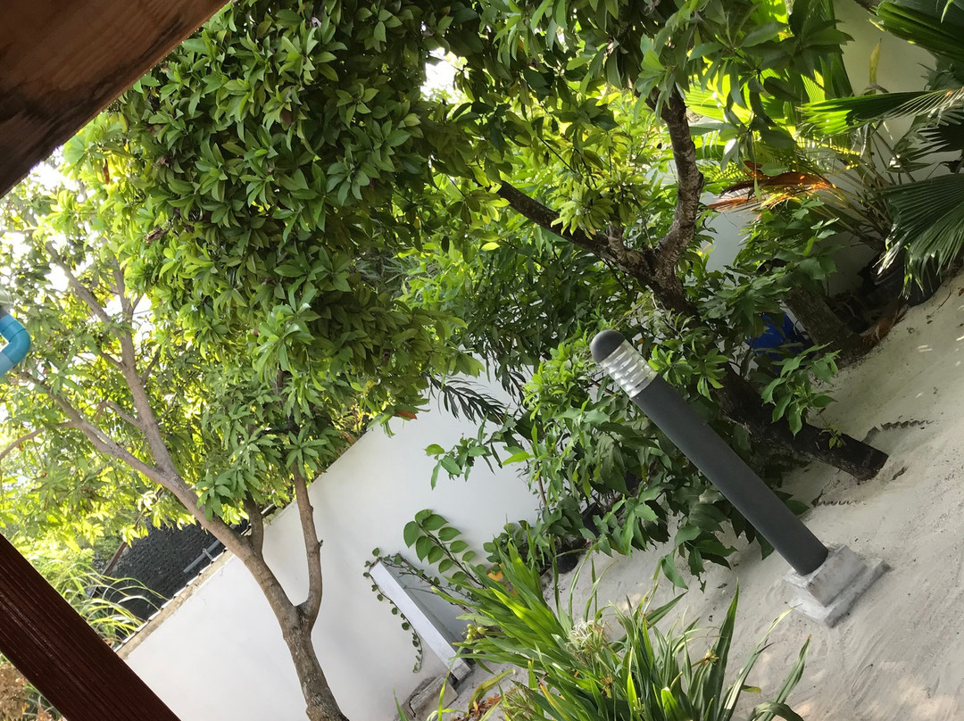 阿佐什旅游宾馆主图