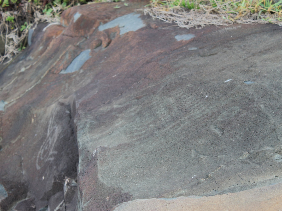 Open Air Costao do Santinho Archaeology Museum景点图片