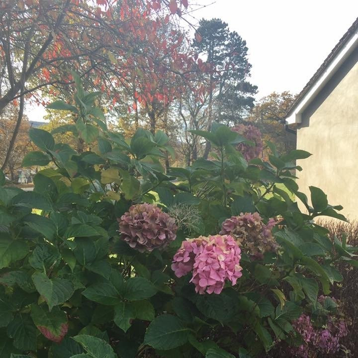 Aberdare Park-Aberdare必去景点