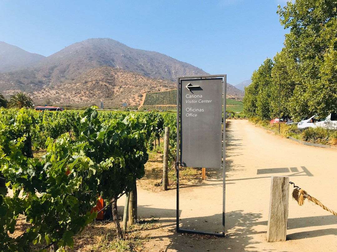 Casablanca Valley-卡萨布兰卡必去景点