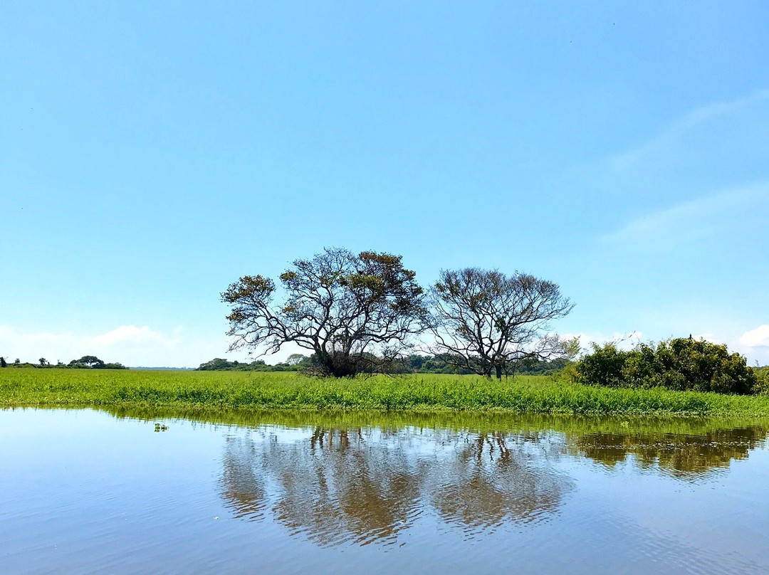 MIrador Turistico Cienaga De Zapatosa-Chimichagua必去景点