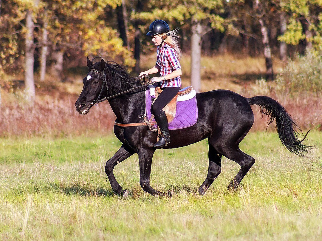 Horse Riding Club Tsentavr景点图片