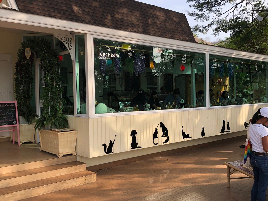 Dairy Home Farm Shop-北冲县必去景点