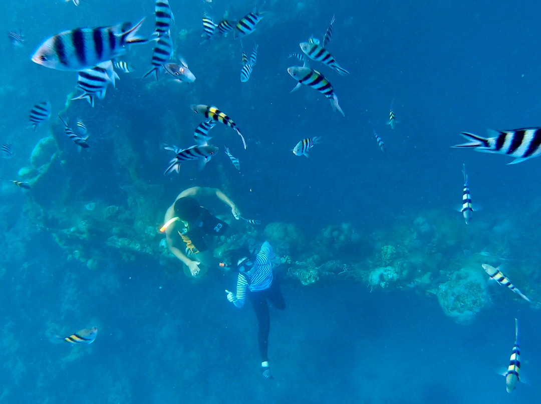 Sunken Japanese Wrecks-科隆必去景点