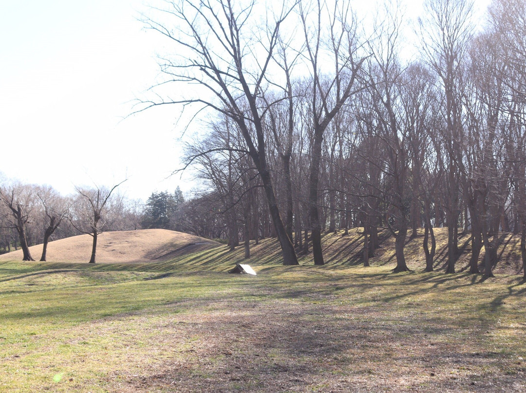 Musashino Park-小金井市必去景点
