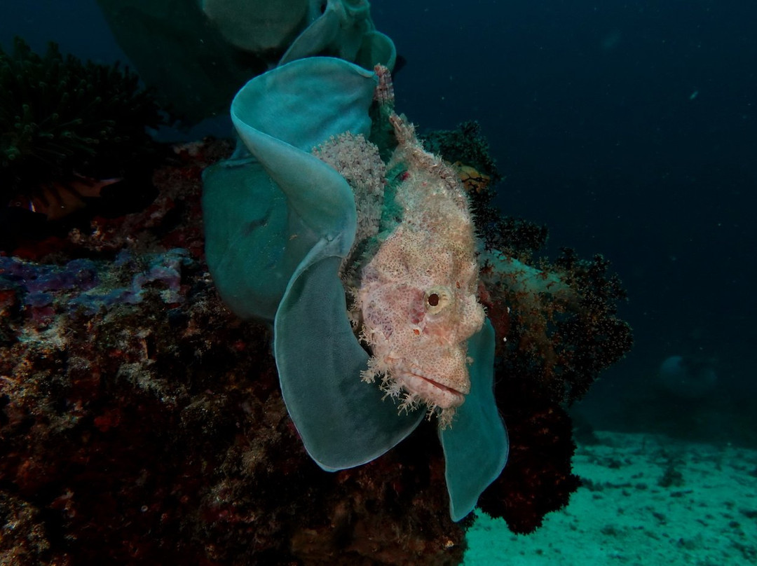 Sea Explorers Cabilao-卡比劳岛必去景点