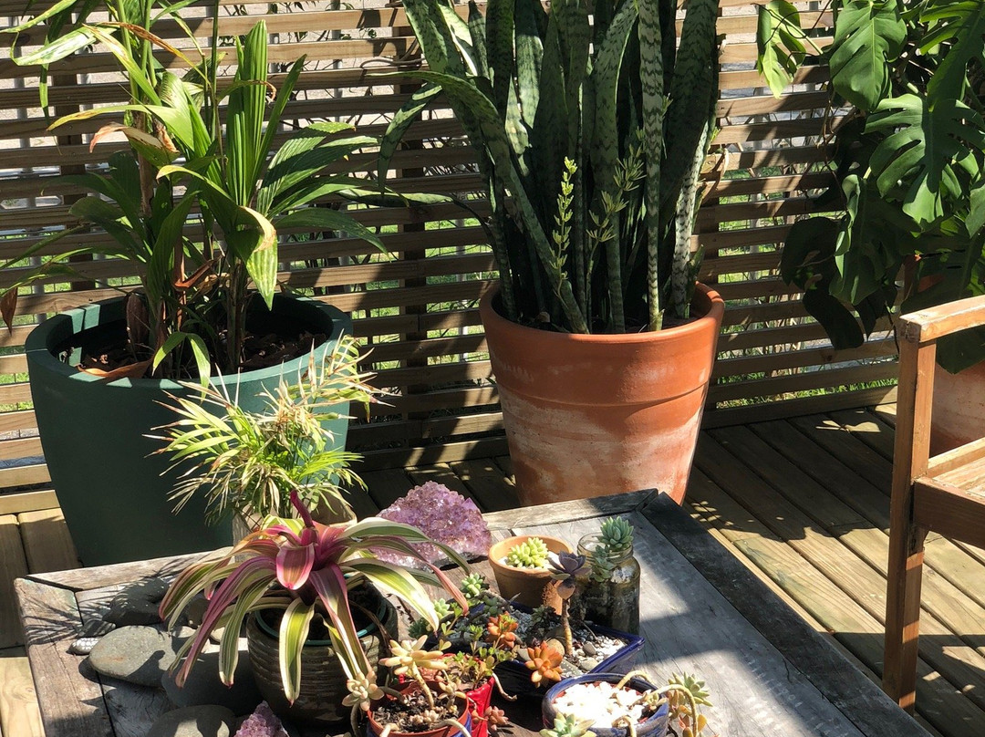 Beach House Exclusive主图