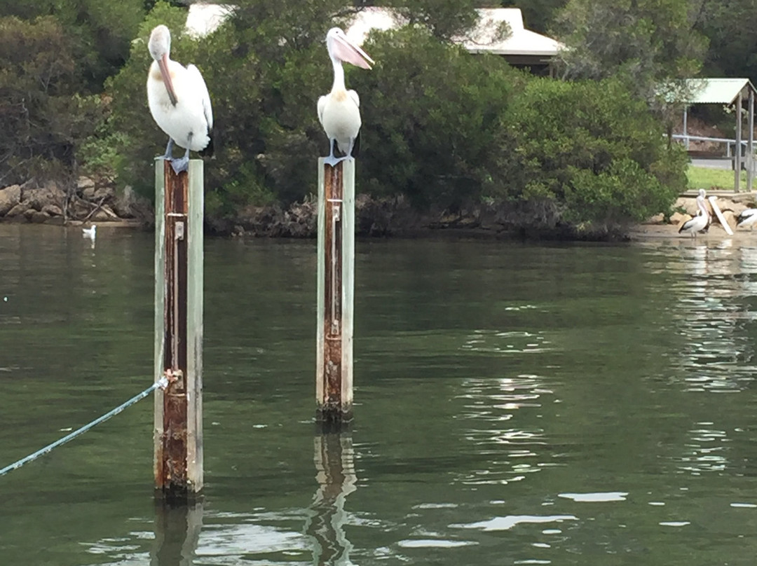 Mallacoota Wilderness Houseboats景点图片