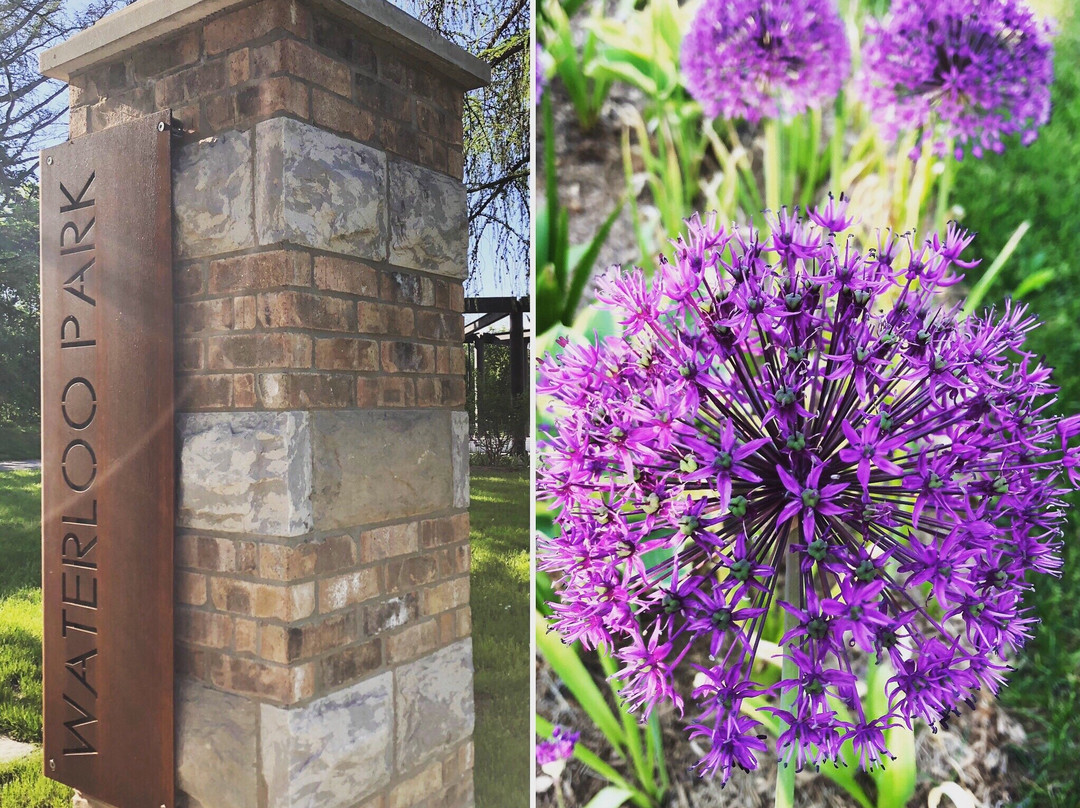 Waterloo Park-滑铁卢必去景点