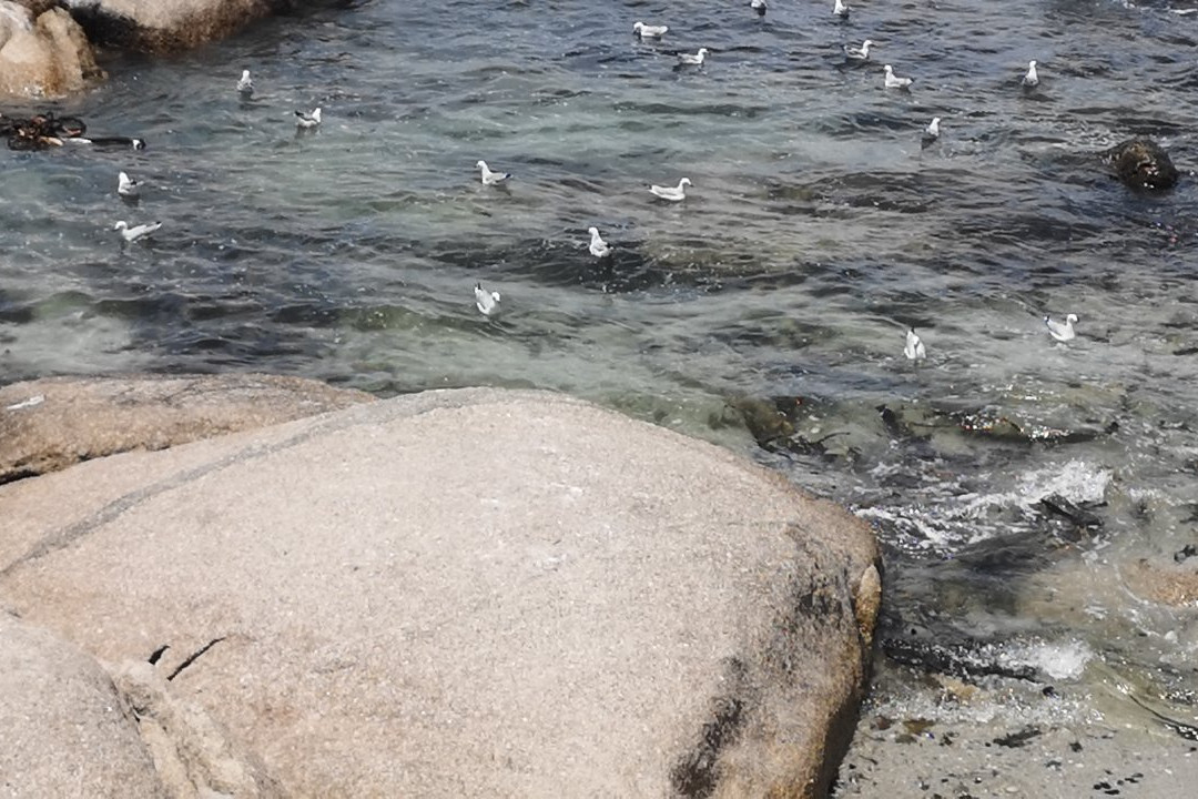 Stompneus Point Lighthouse景点图片