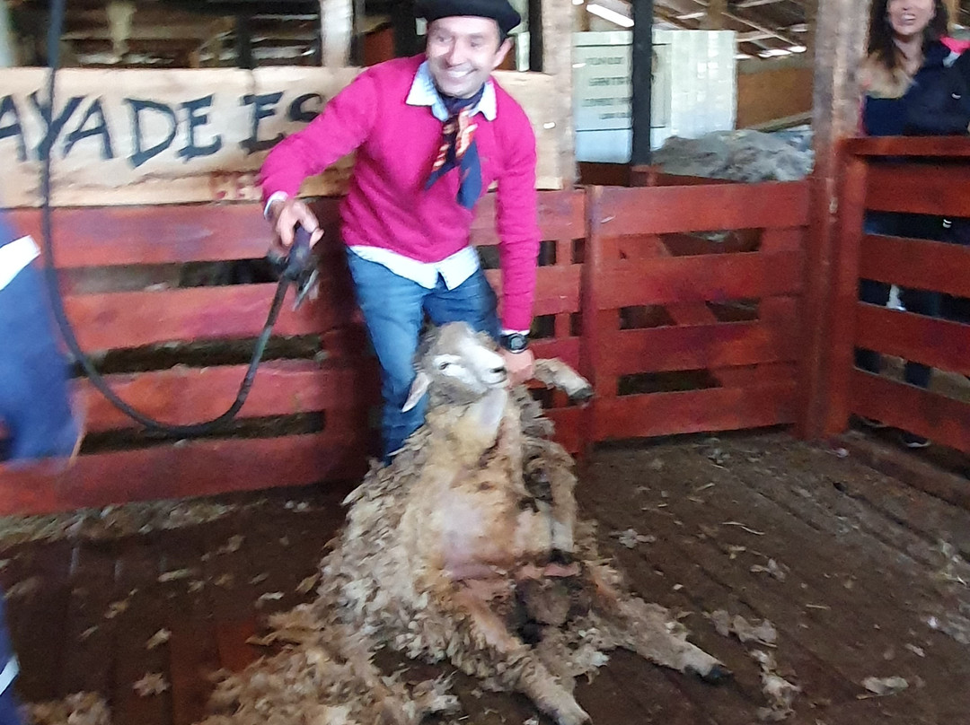 Fundo don Gerardo-Coyhaique必去景点