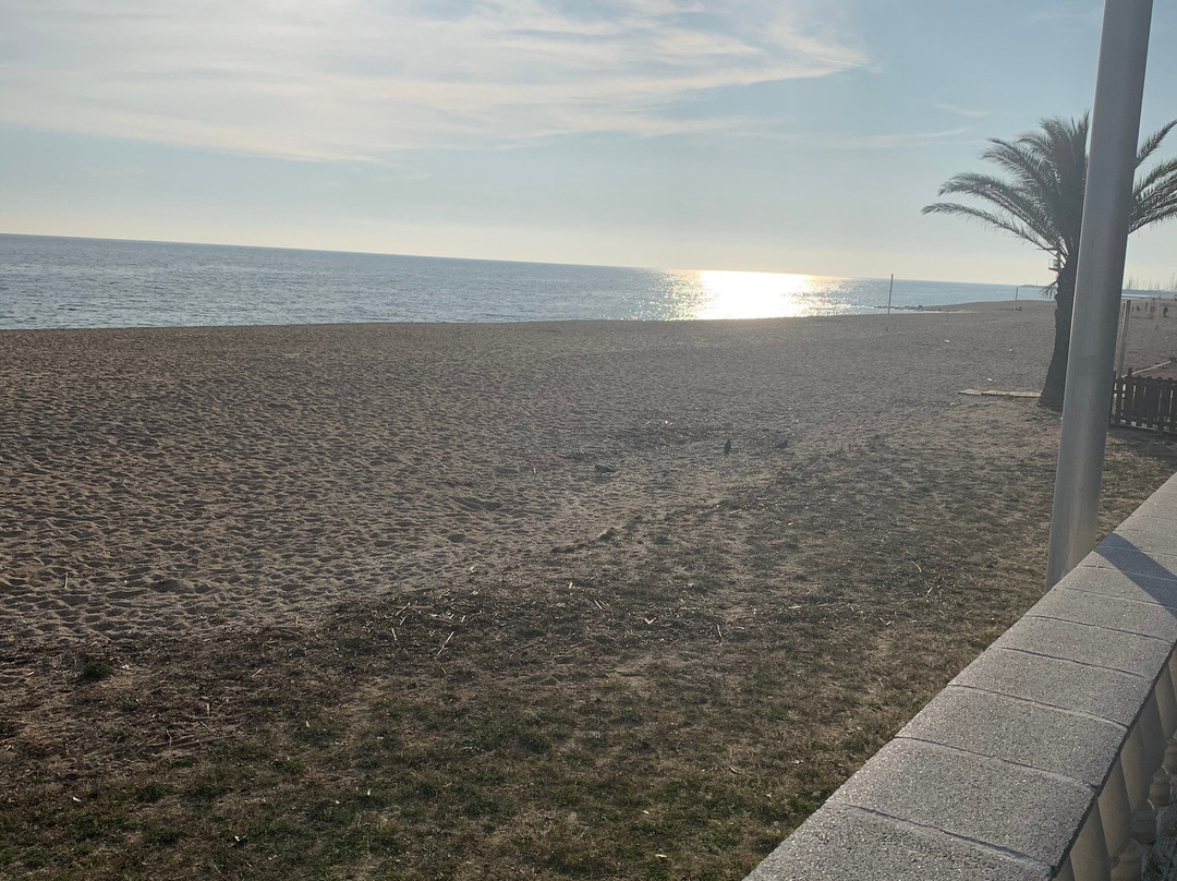 Platja dels Tres Micos-Caldes d'Estrac必去景点