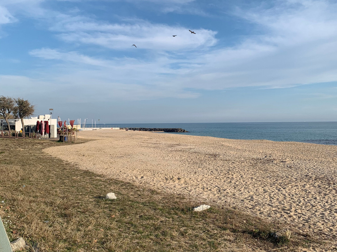 Platja dels Tres Micos-Caldes d'Estrac必去景点