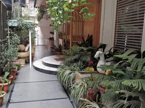 Hotel Chaman Palace主图