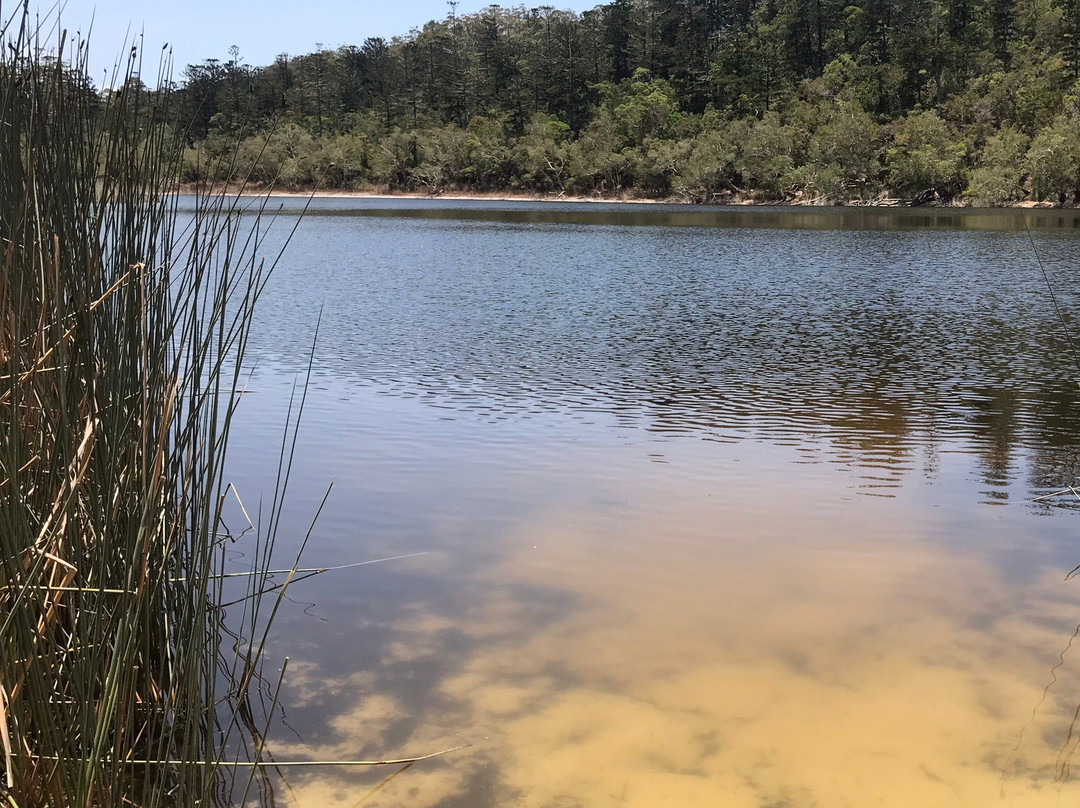 Lake Allom景点图片