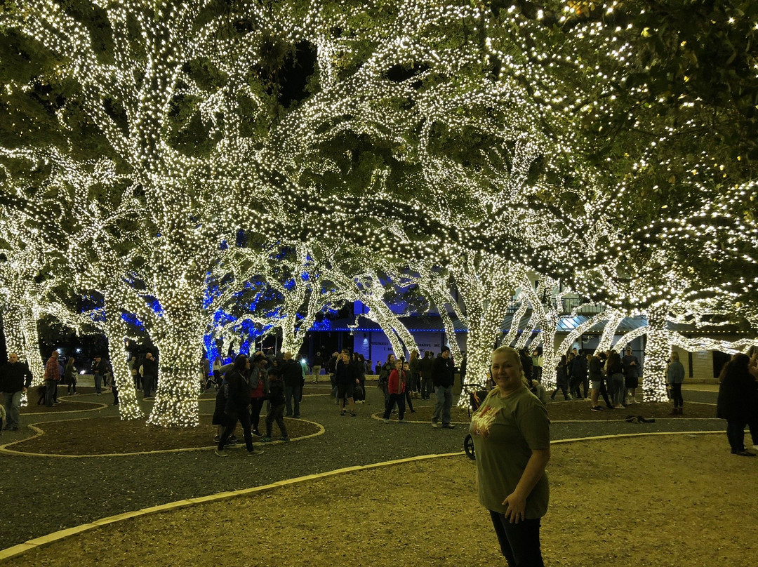 Johnson City Texas Chamber of Commerce-Johnson City必去景点