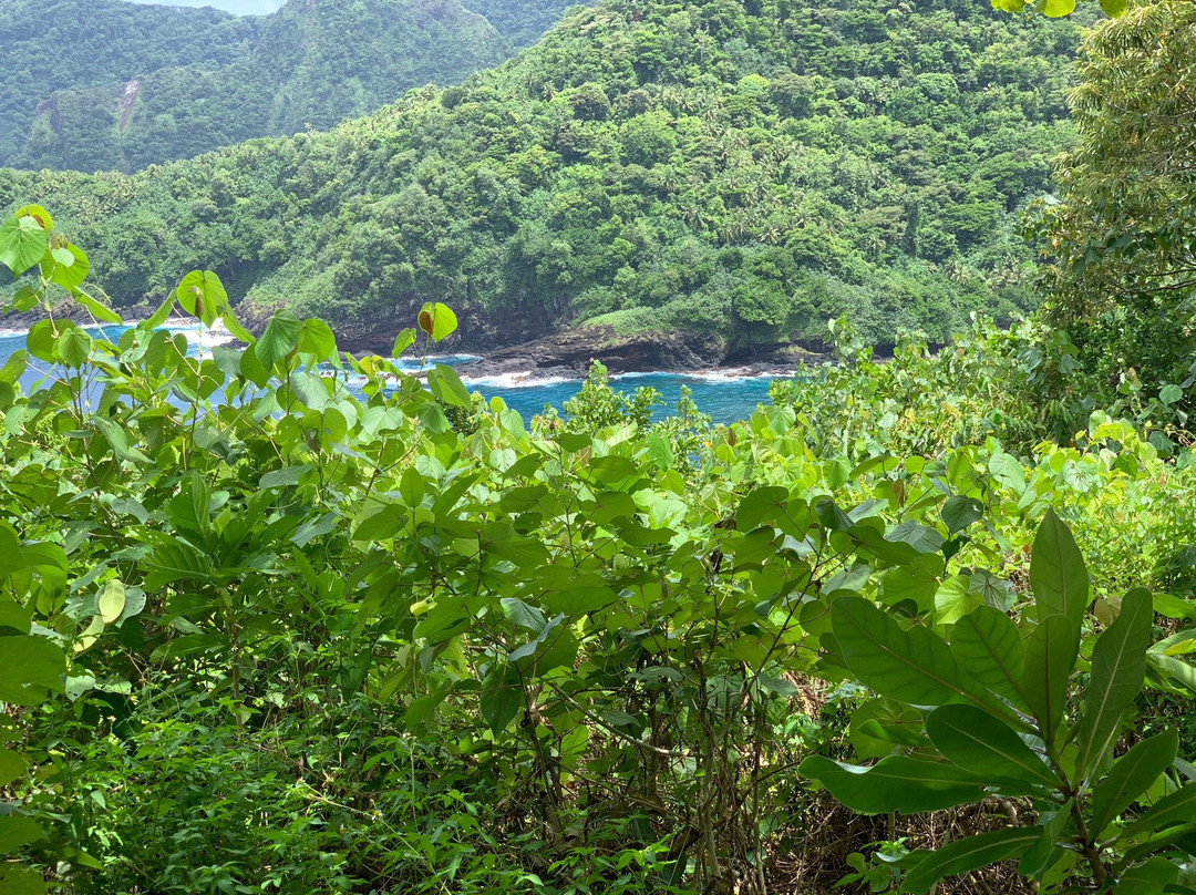 National Park of American Samoa景点图片