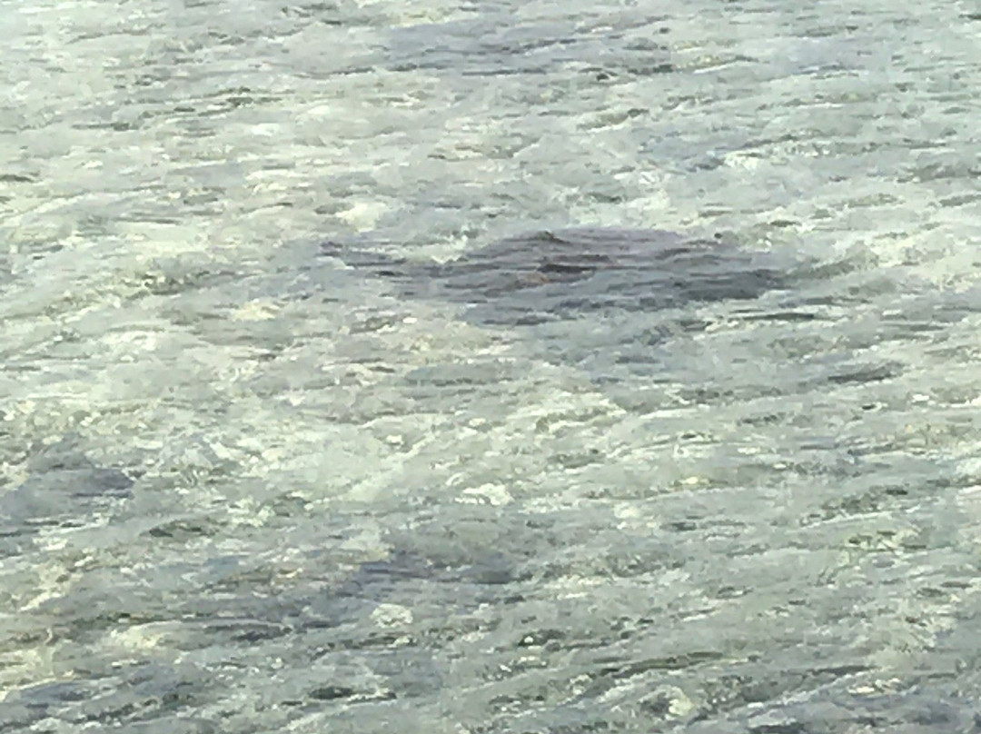 Onekahakaha Beach Park-希洛必去景点