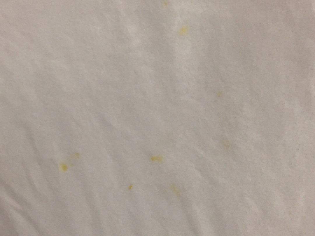 Microtel Inn & Suites by Wyndham Tuscaloosa Near University主图