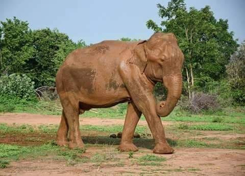 Sumatra Trekking-武吉拉旺必去景点