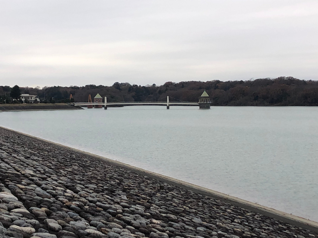 Lake Sayama-所泽市必去景点
