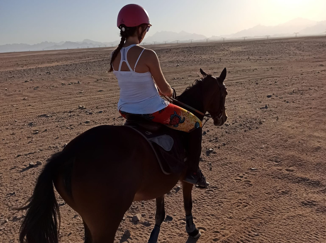 Equestrian Dream Egypt景点图片