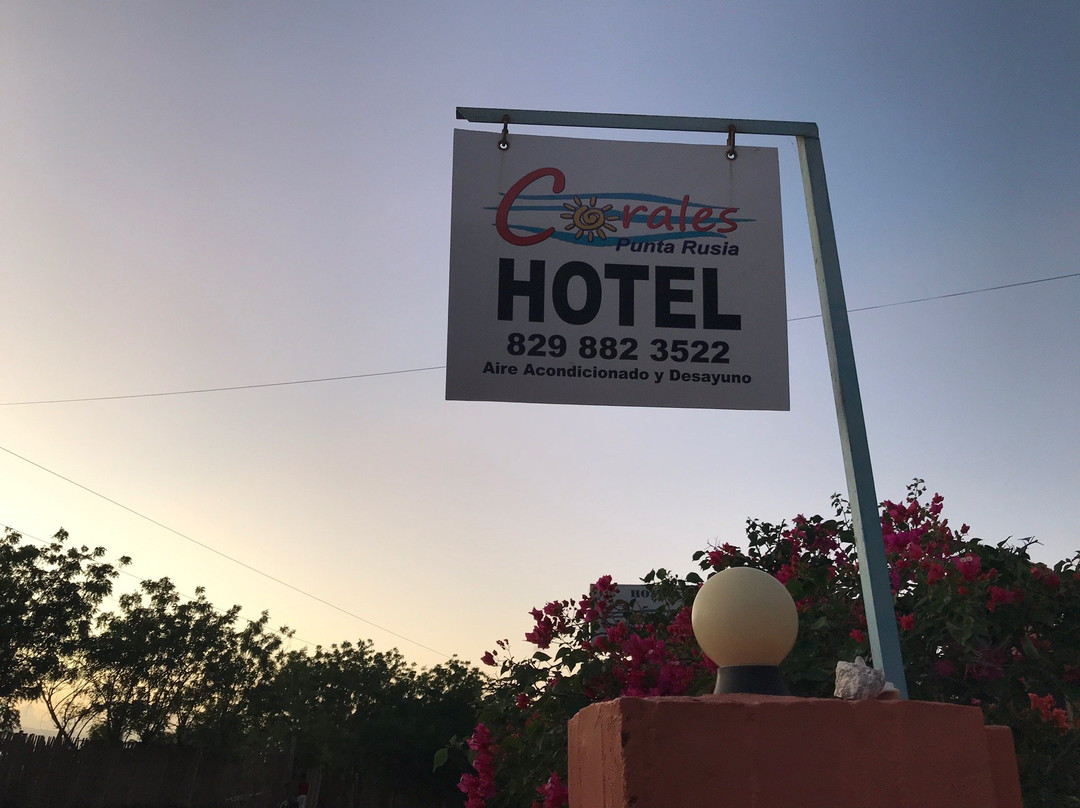 Corales Punta Rusia主图