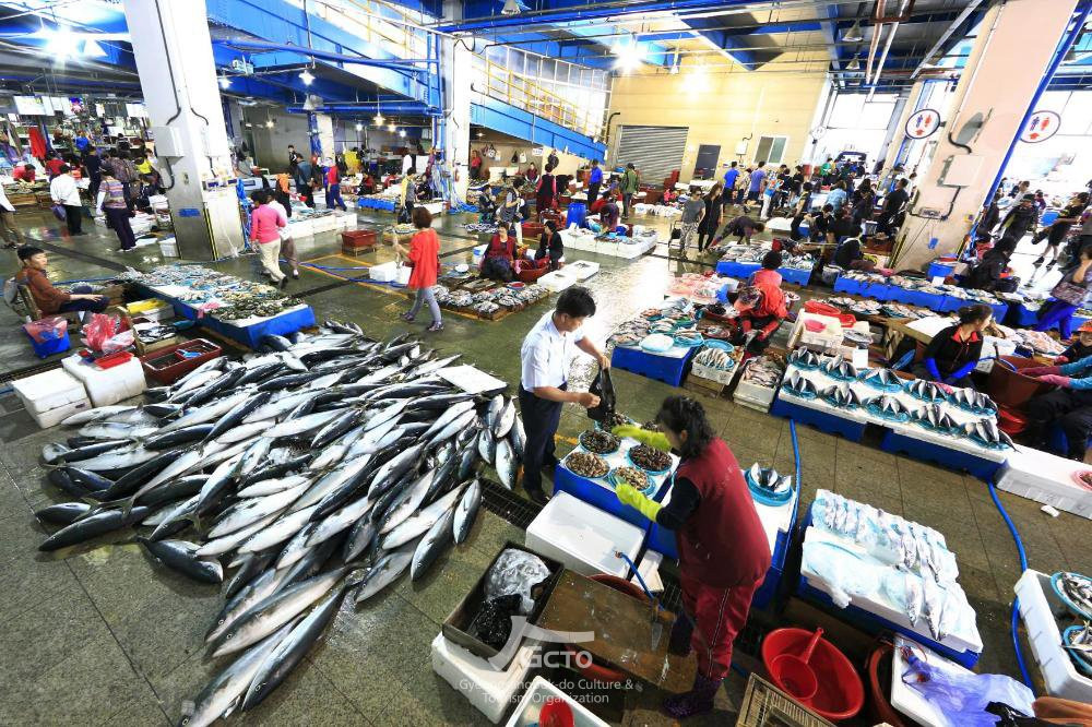 Jukdo Market-浦项市必去景点