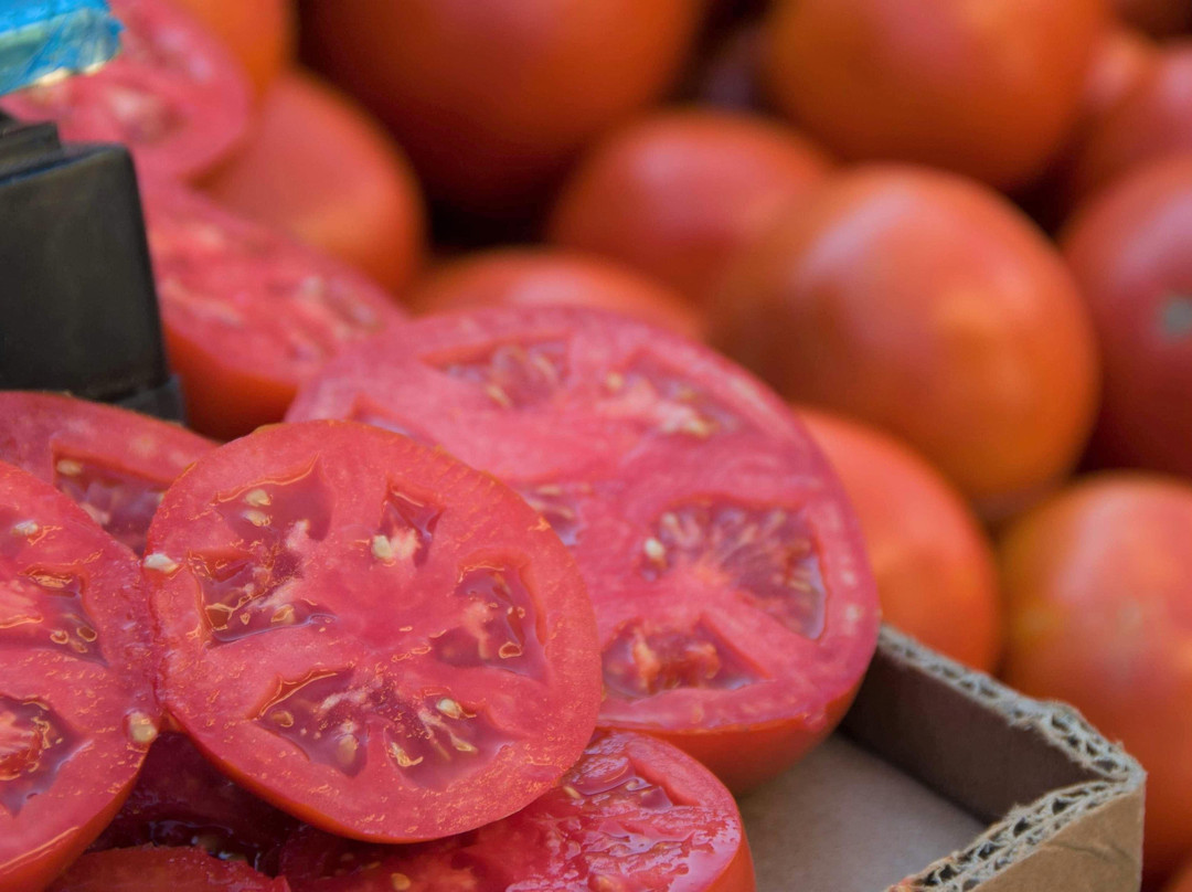 Traveling Spoon-克里特岛必去景点