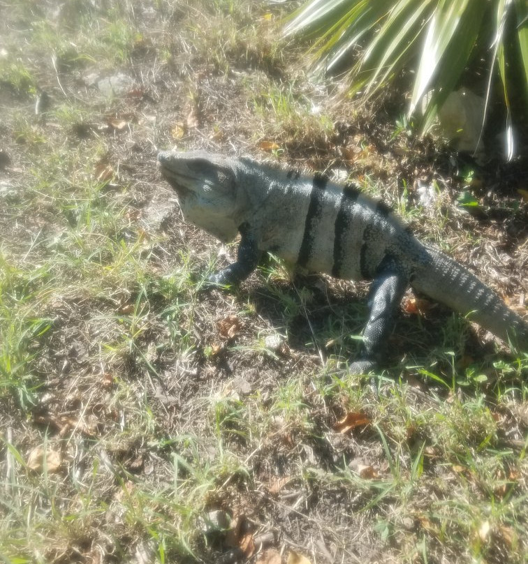 Yucatan Expeditions-Seye必去景点