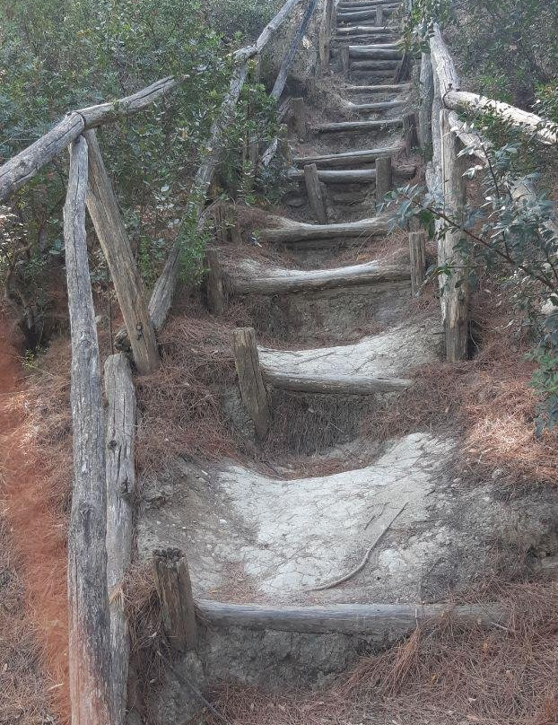 德律阿德斯酒店主图