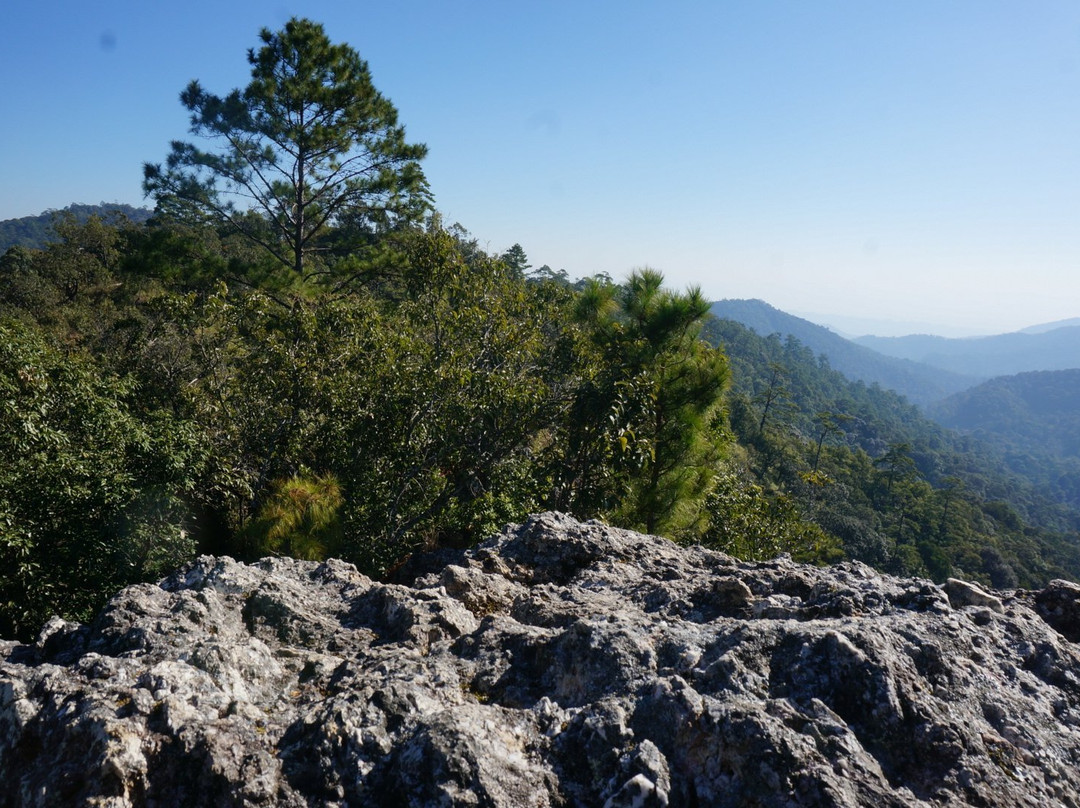 Phuket Transfer Travel Andaman-普吉镇必去景点