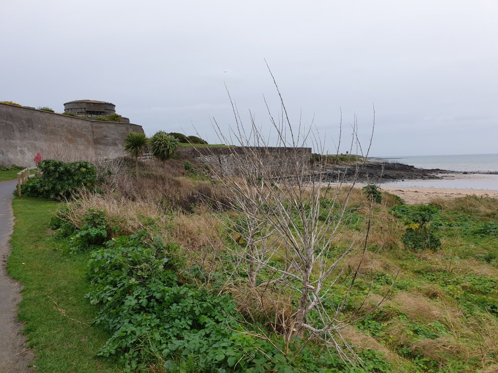 Skerries Tourist Walks-斯克列必去景点