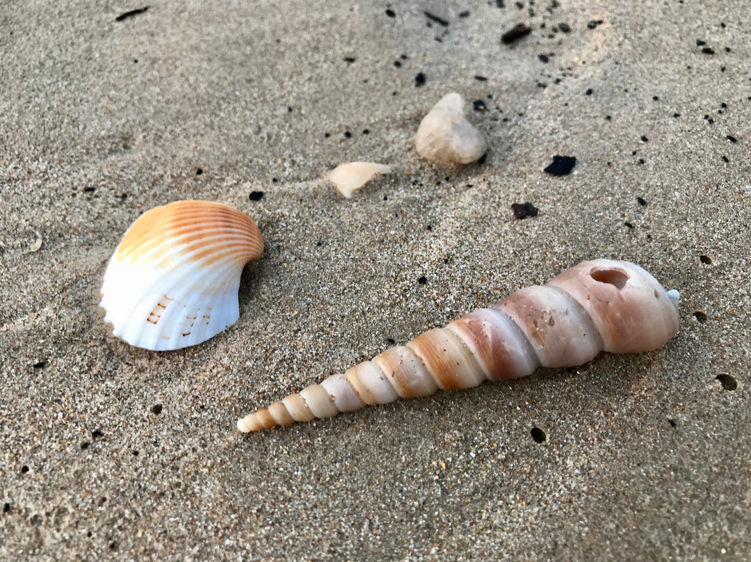 Dreamz Ocean Pearl Resort & Spa主图