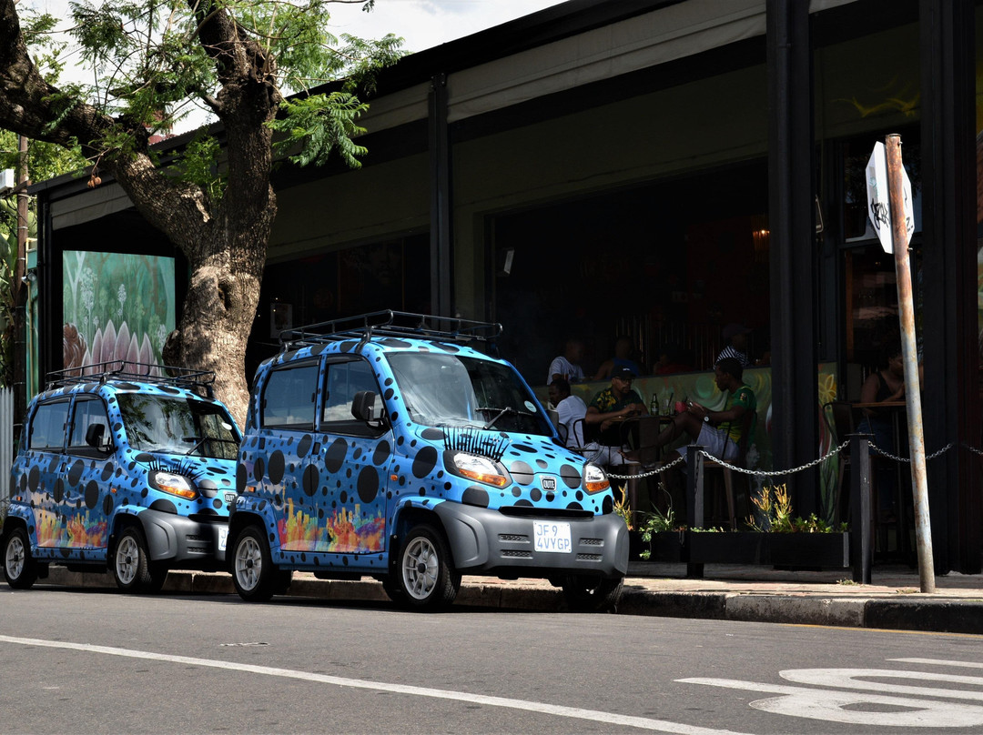 Jozibug Tours-约翰内斯堡必去景点