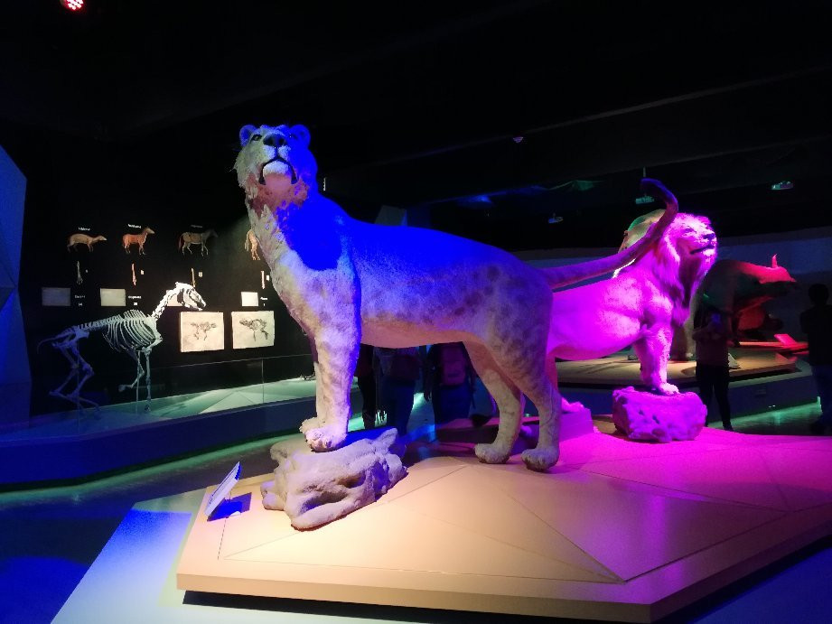 Museo de la Evolucion Puebla (Museum of Evolution Puebla)-普埃布拉必去景点