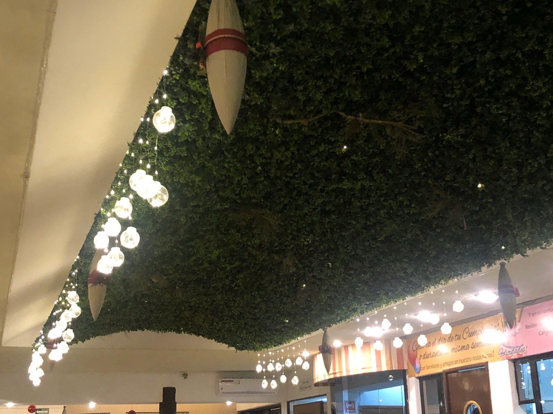 Hotel Los Cocos主图