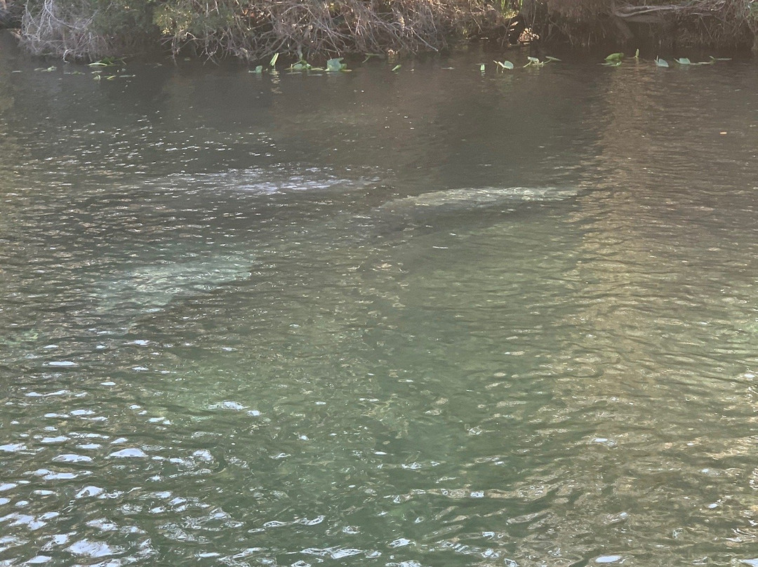 The Castaways on the River-Astor必去景点