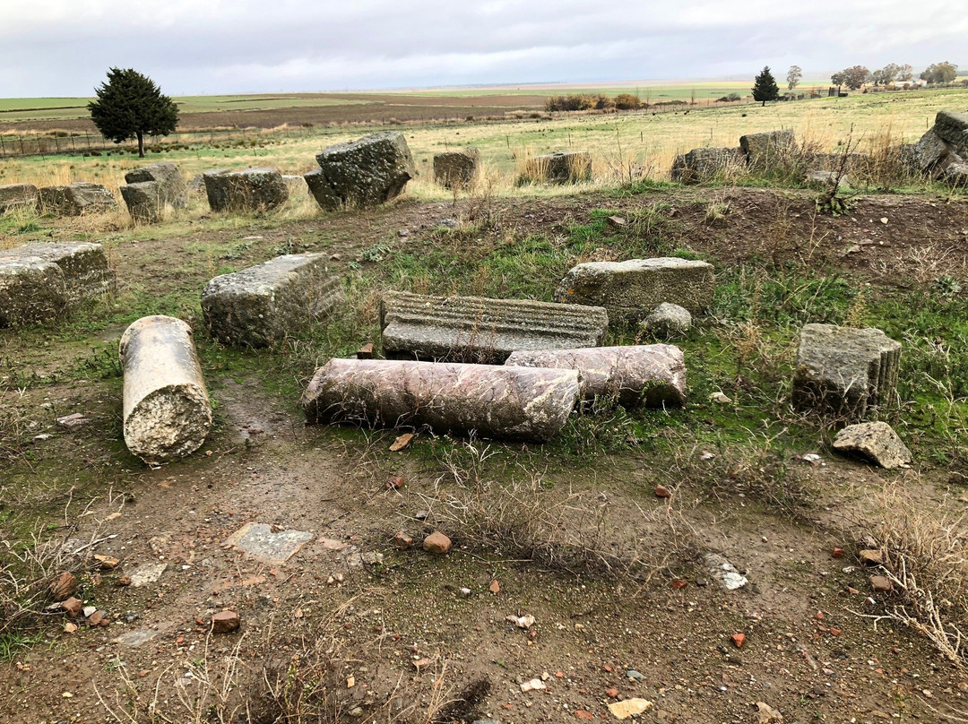 Ruinas de la Ciudad Romana de Regina景点图片