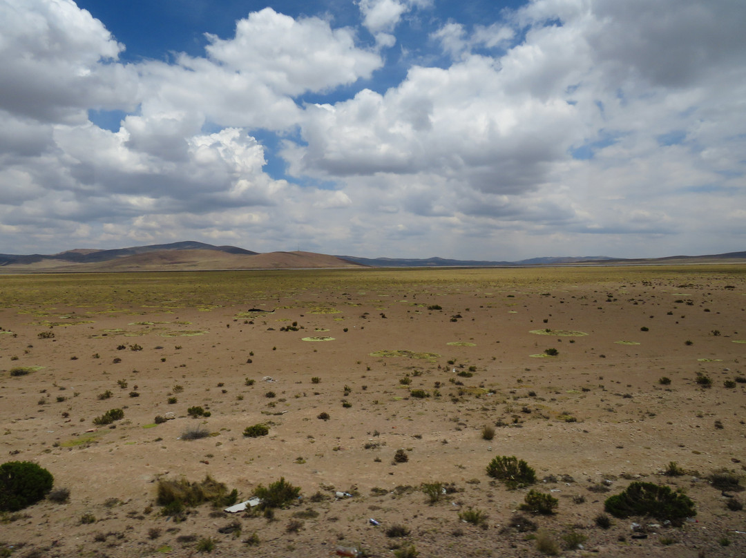 Stone Forest-Patahuasi必去景点