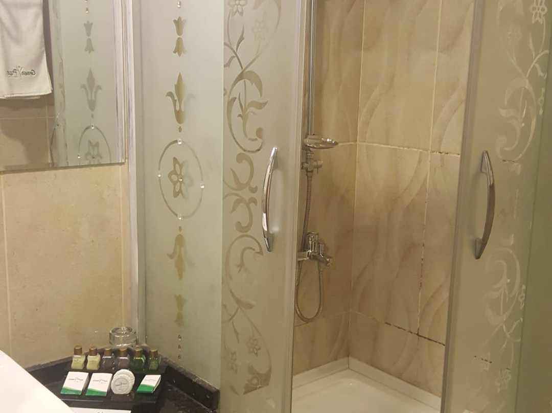 Green Prusa Hotel主图