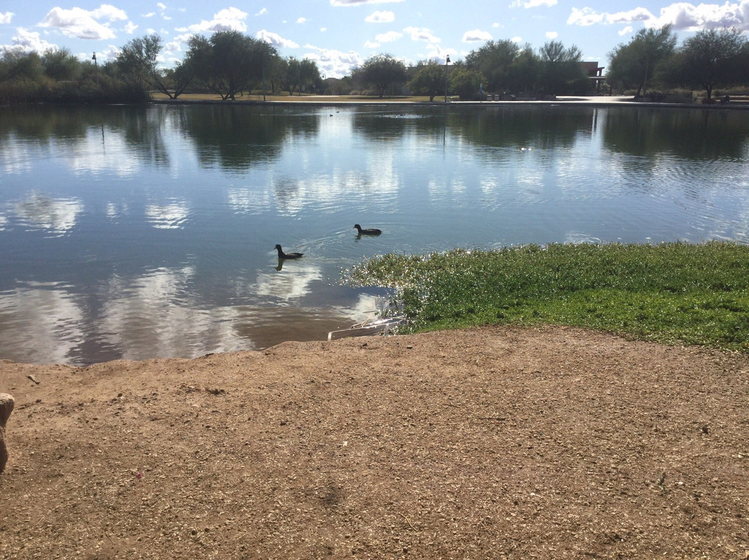 Veterans Oasis Park-钱德勒必去景点