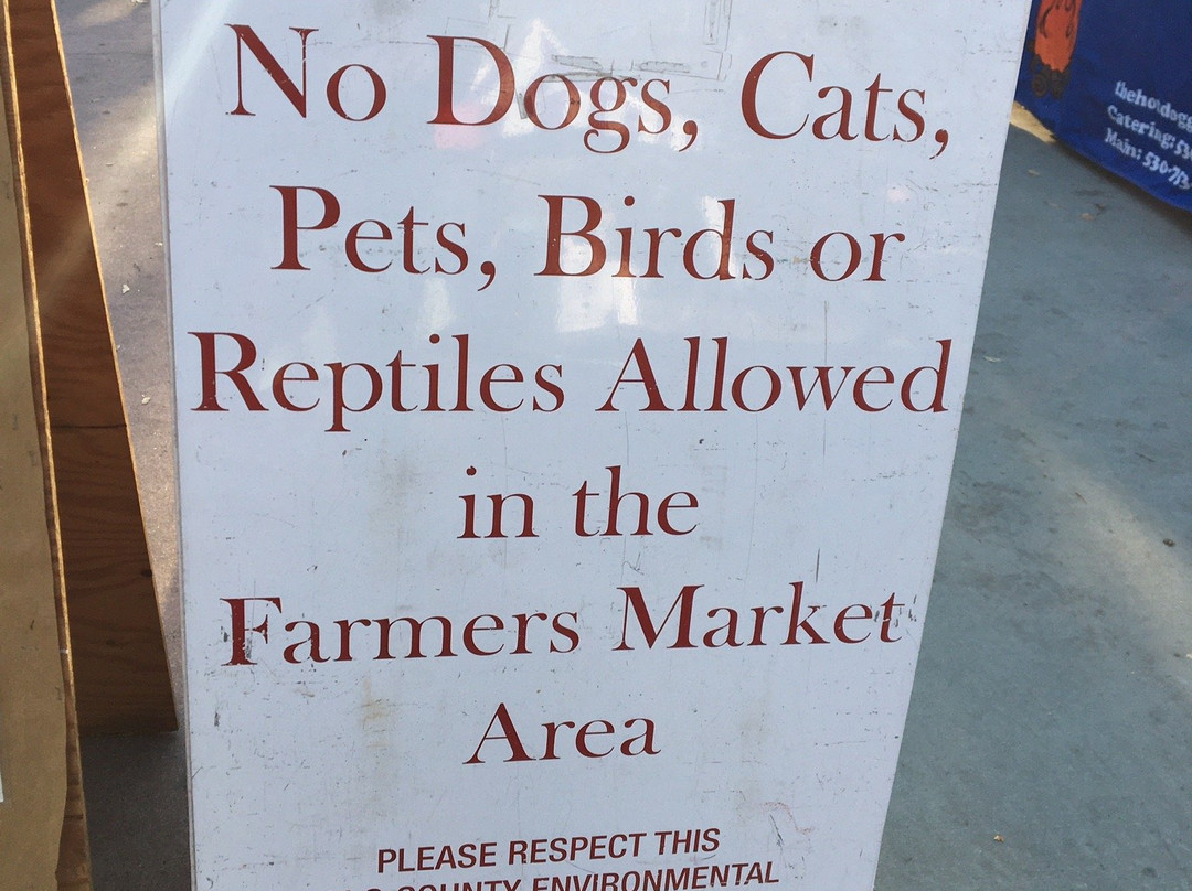 Farmers Market-戴维斯必去景点